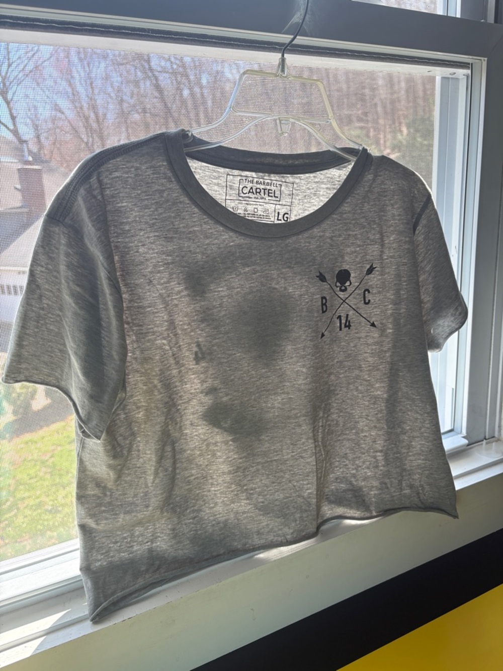 Carhartt Heather Gray Cropped Tee with Skull & Arrows Logo